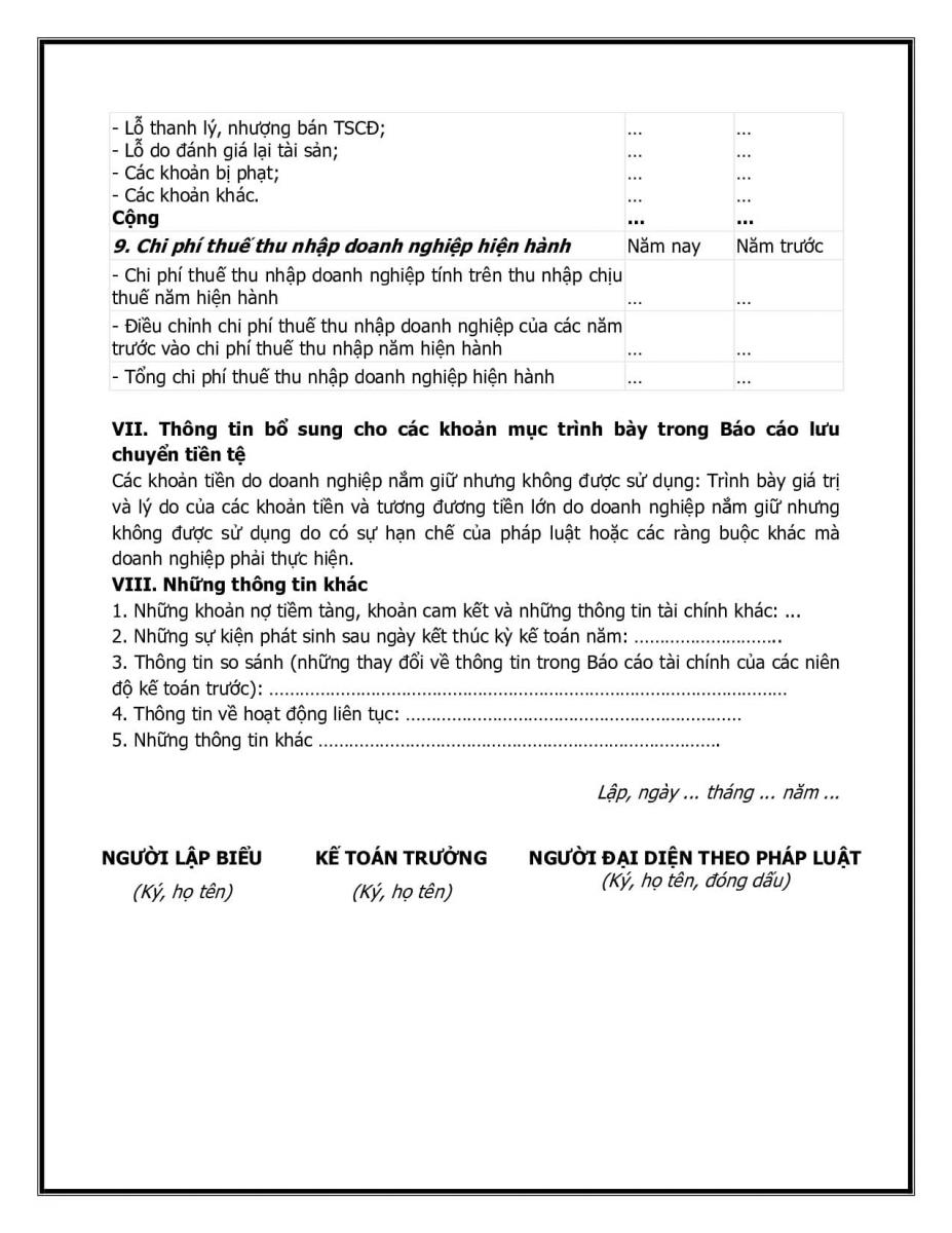 Mẫu thuyết minh B&aacute;o c&aacute;o t&agrave;i ch&iacute;nh theo th&ocirc;ng tư 133