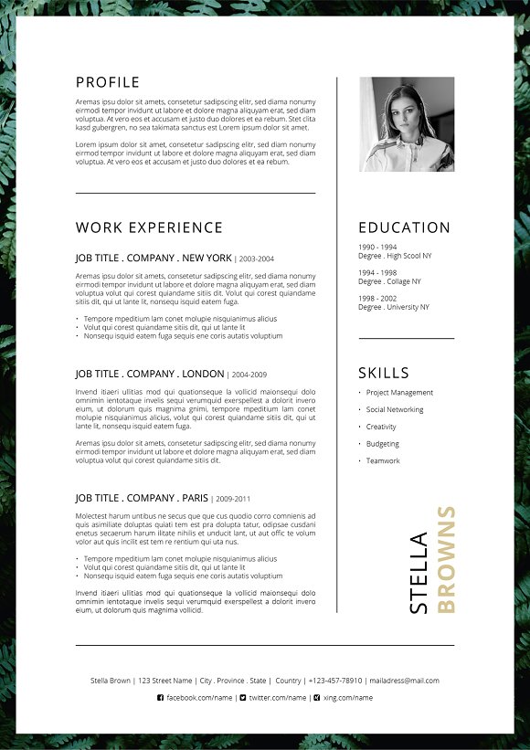 FERNS - Mẫu Resume đầy t&iacute;nh nghệ thuật