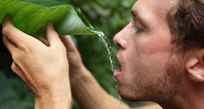 Kỹ năng sinh tồn l&agrave; g&igrave;?
