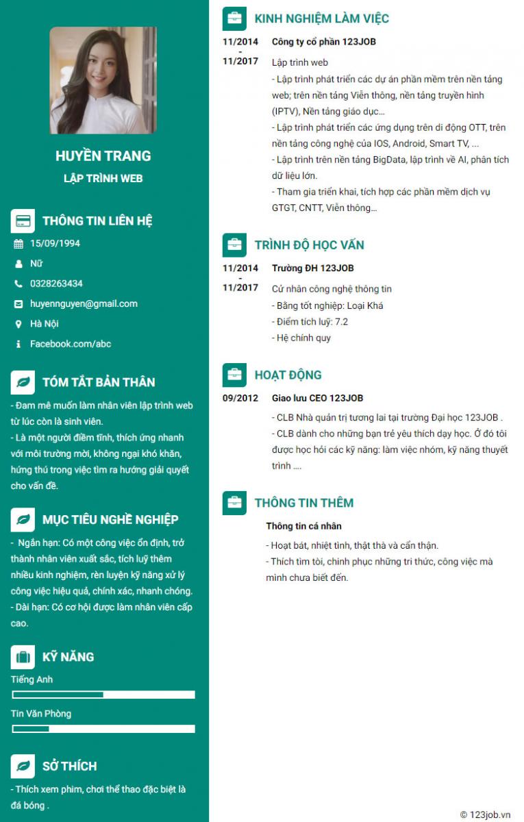 Mẫu cv lập tr&igrave;nh vi&ecirc;n chuy&ecirc;n nghiệp