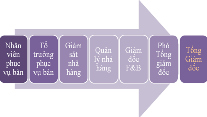 lộ tr&igrave;nh thăng tiến nh&acirc;n vi&ecirc;n phục vụ nh&agrave; h&agrave;ng