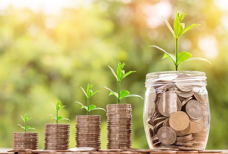 quản l&yacute; t&agrave;i ch&iacute;nh c&aacute; nh&acirc;n hiệu quả