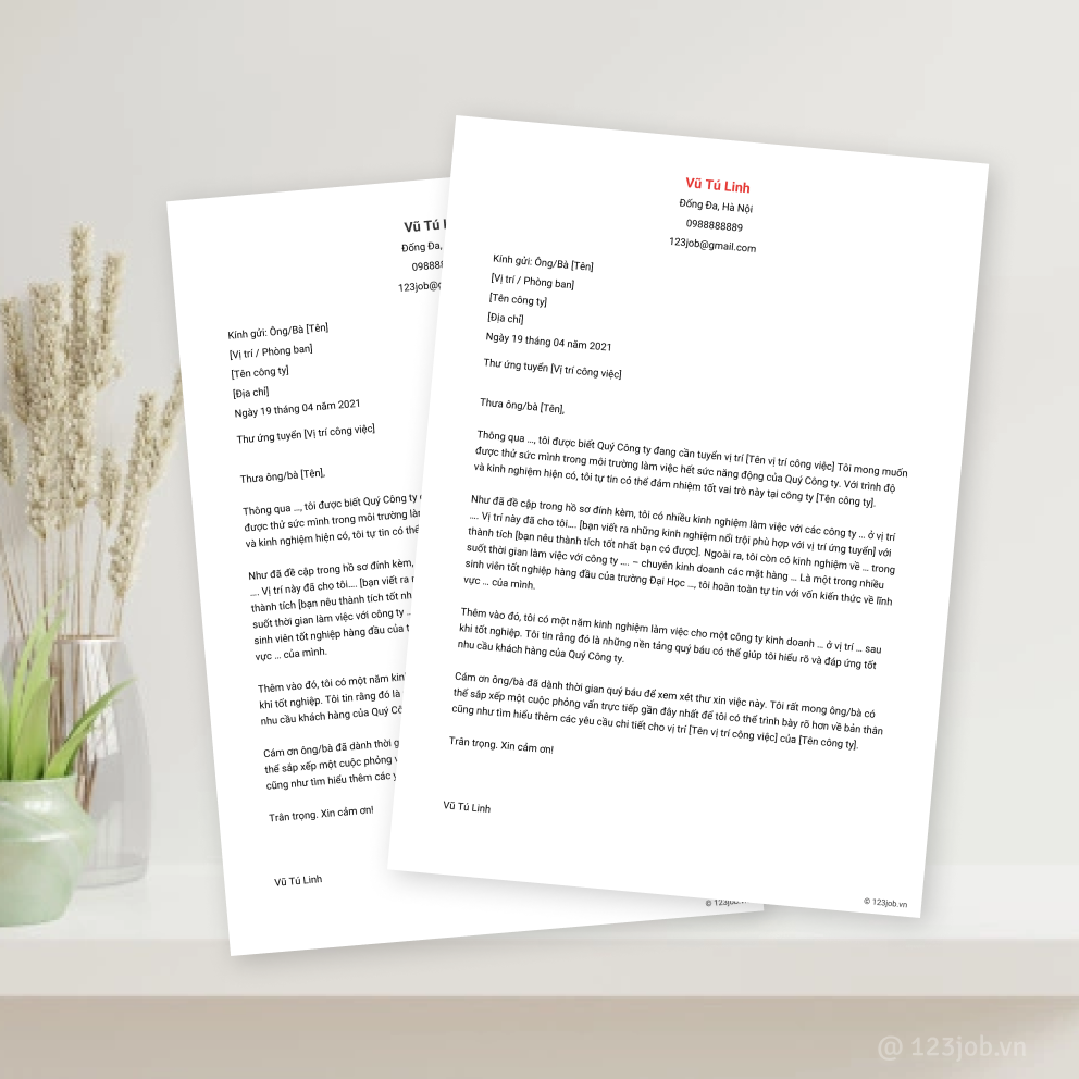 Mẫu Cover Letter Senior tiếng Việt - Hấp dẫn