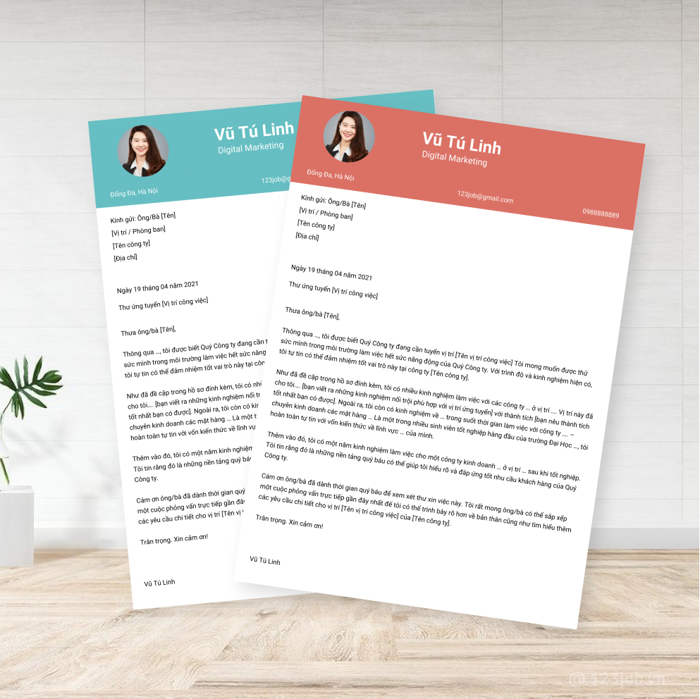 Mẫu Cover Letter Tiêu chuẩn tiếng Việt - Thu hút