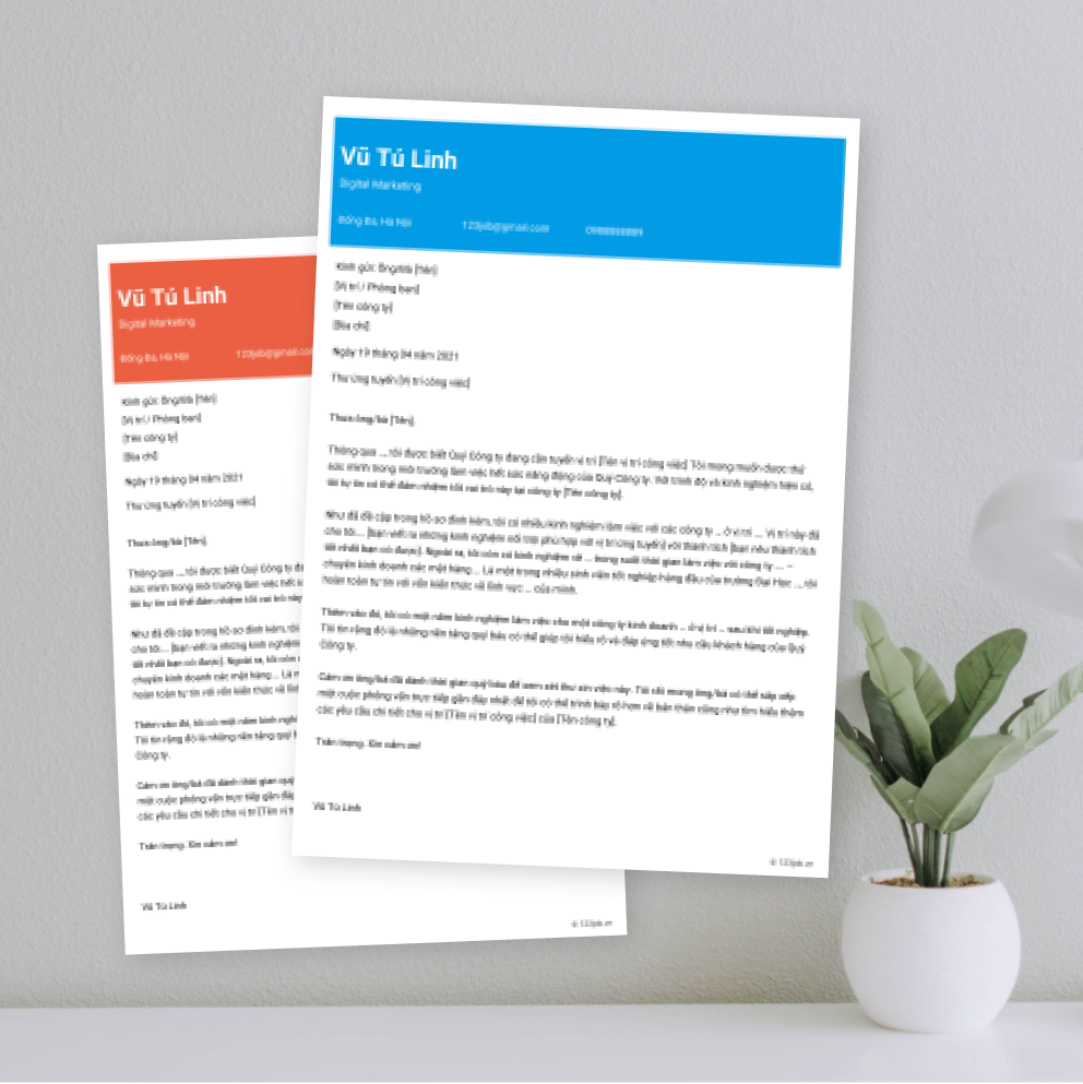 Mẫu Cover Letter 2 Chuyên nghiệp tiếng Việt - Sáng tạo