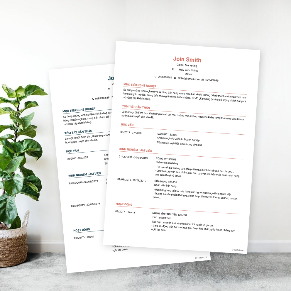 Mẫu CV Senior - Hấp dẫn