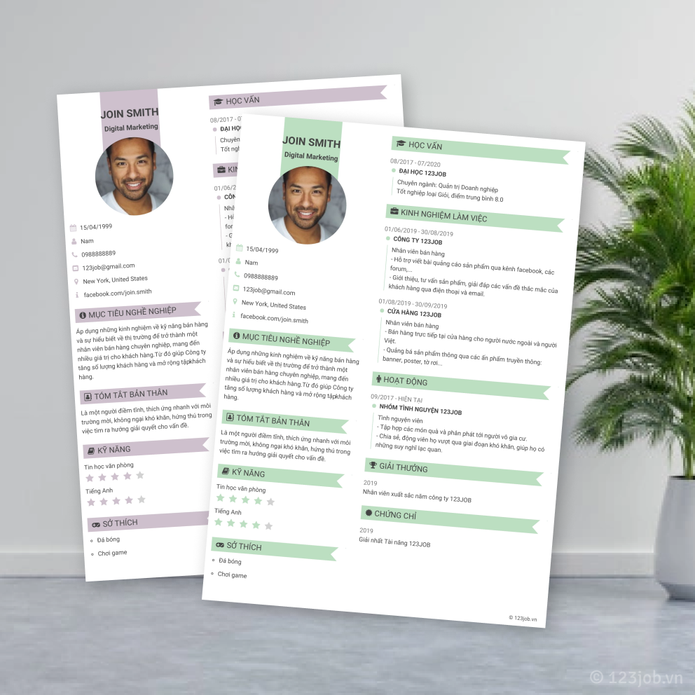 Mẫu CV Sinh viên - Ấn tượng