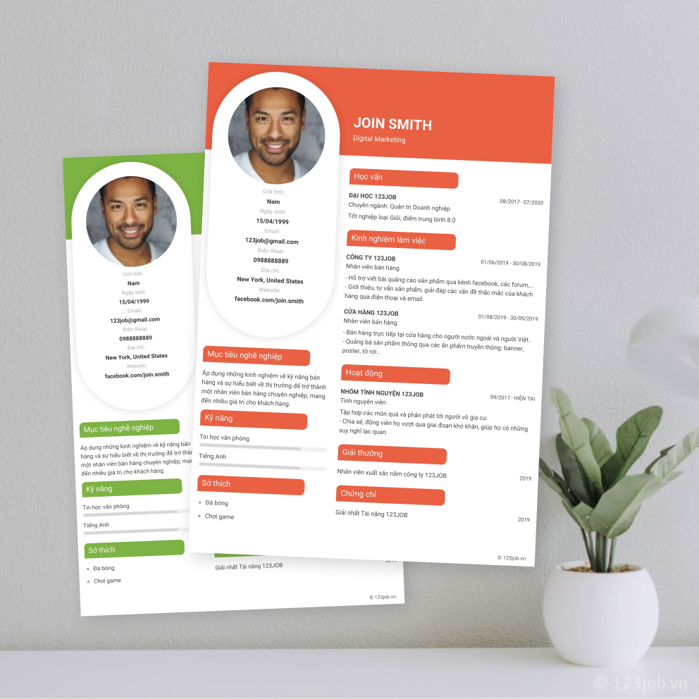 Mẫu CV Cổ điển - Độc lạ