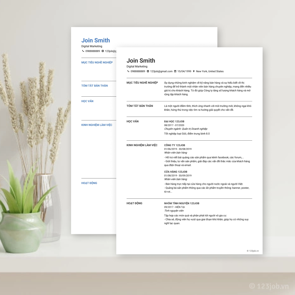 Mẫu CV Kỹ sư phần mềm độc đáo - Ấn tượng