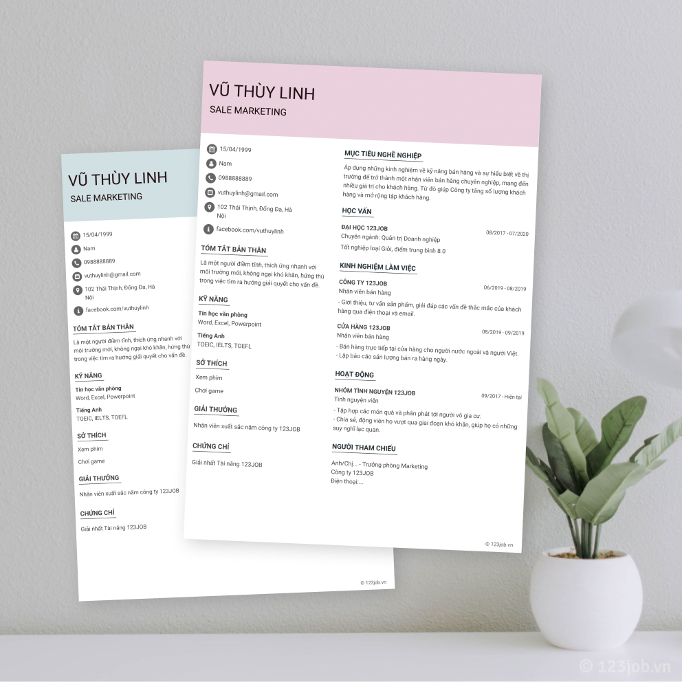 Mẫu CV Designer - Độc đáo