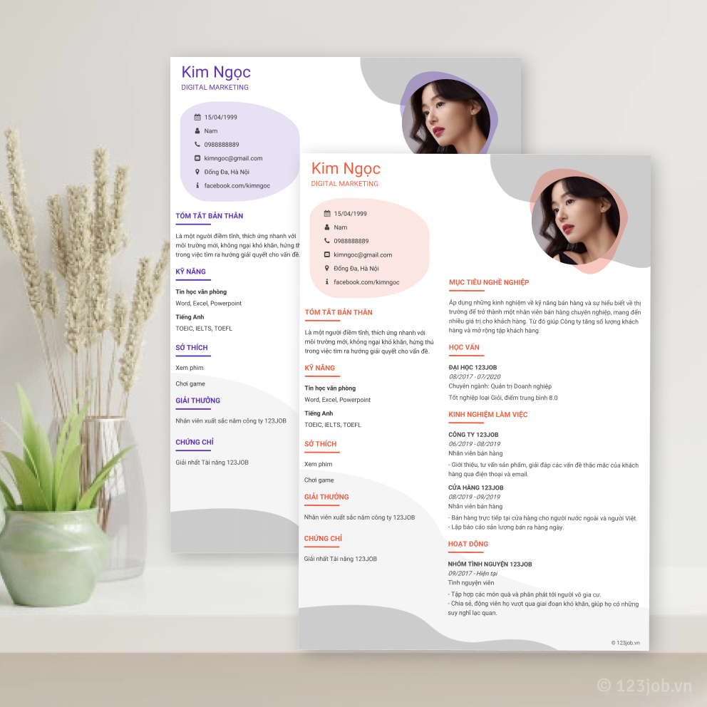 Mẫu CV Thành tựu - Đơn giản