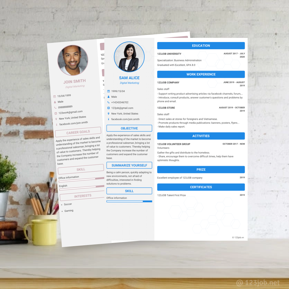 Mẫu CV Chuyên nghiệp tiếng Anh - Sáng tạo