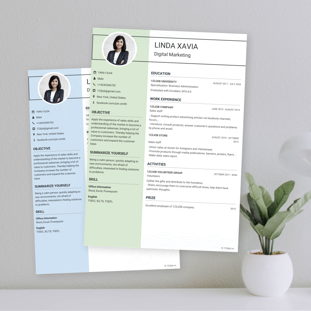 Mẫu CV Du học tiếng Anh - Hiện đại