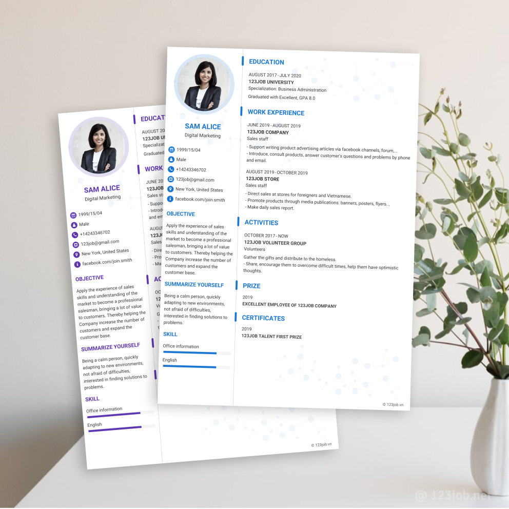 Mẫu CV Ấn tượng tiếng Anh - Hiện đại
