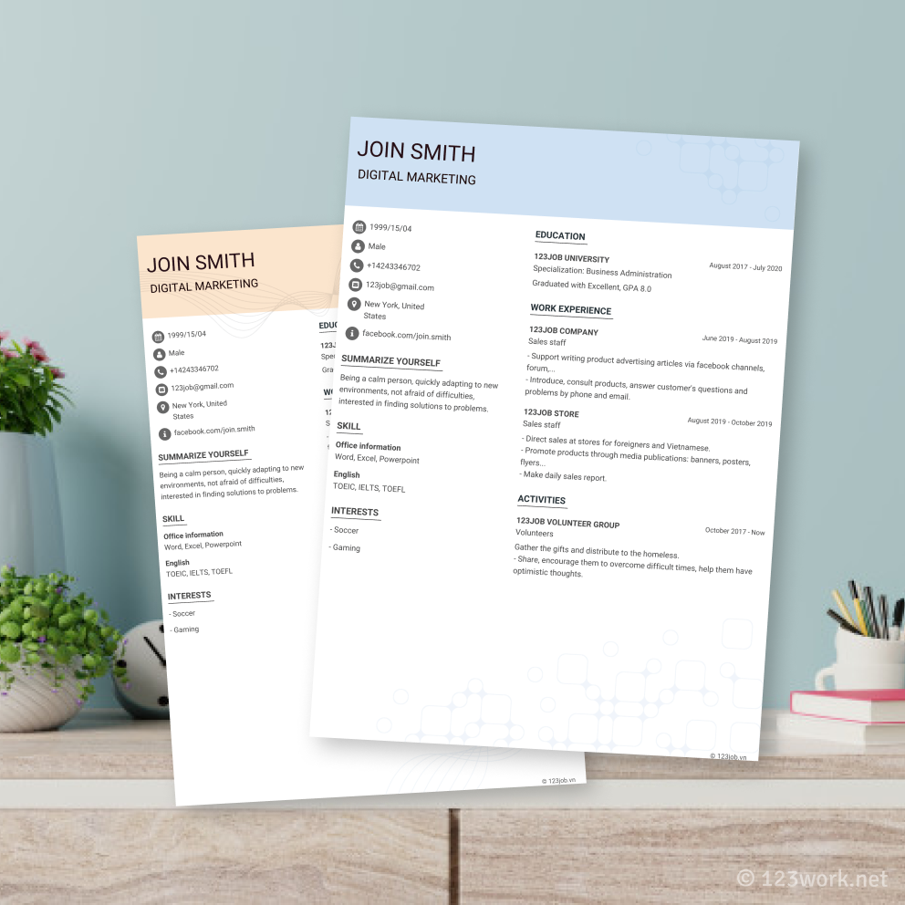 Mẫu CV Designer tiếng Anh - Độc đáo