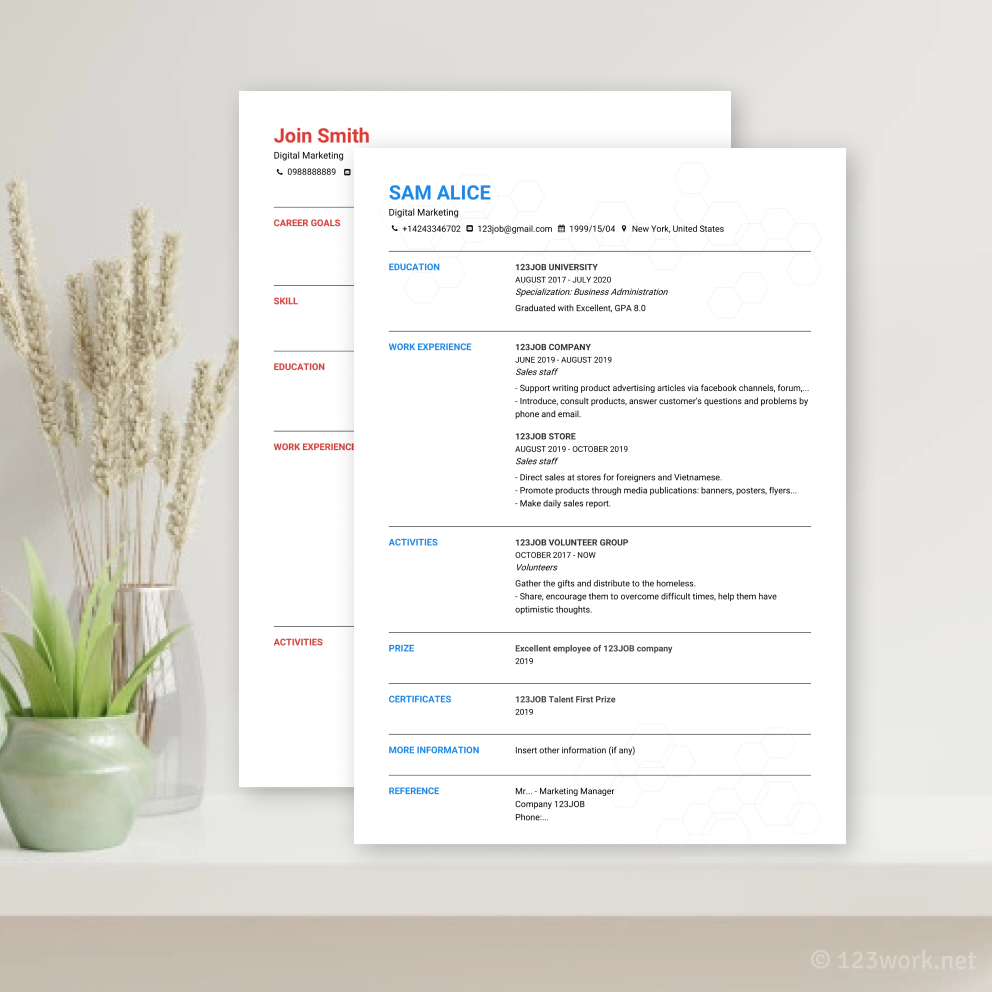 Mẫu CV Kỹ sư phần mềm tiếng Anh - Ấn tượng