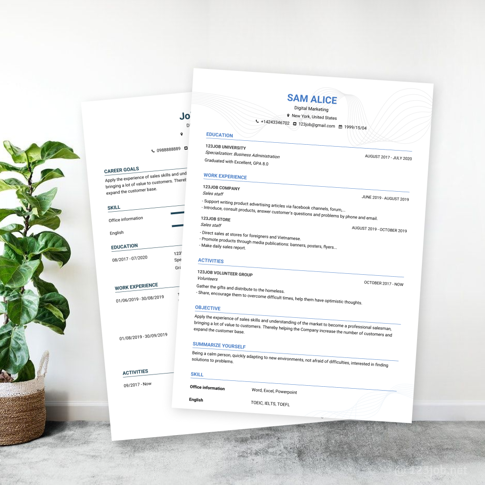 Mẫu CV Senior tiếng Anh - Chuyên nghiệp