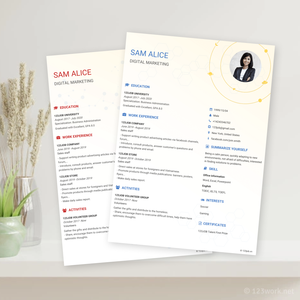 Mẫu CV Hoàng Kim tiếng Anh - Thanh lịch