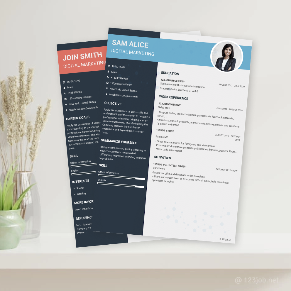 Mẫu CV Cao cấp tiếng Anh - Ấn tượng