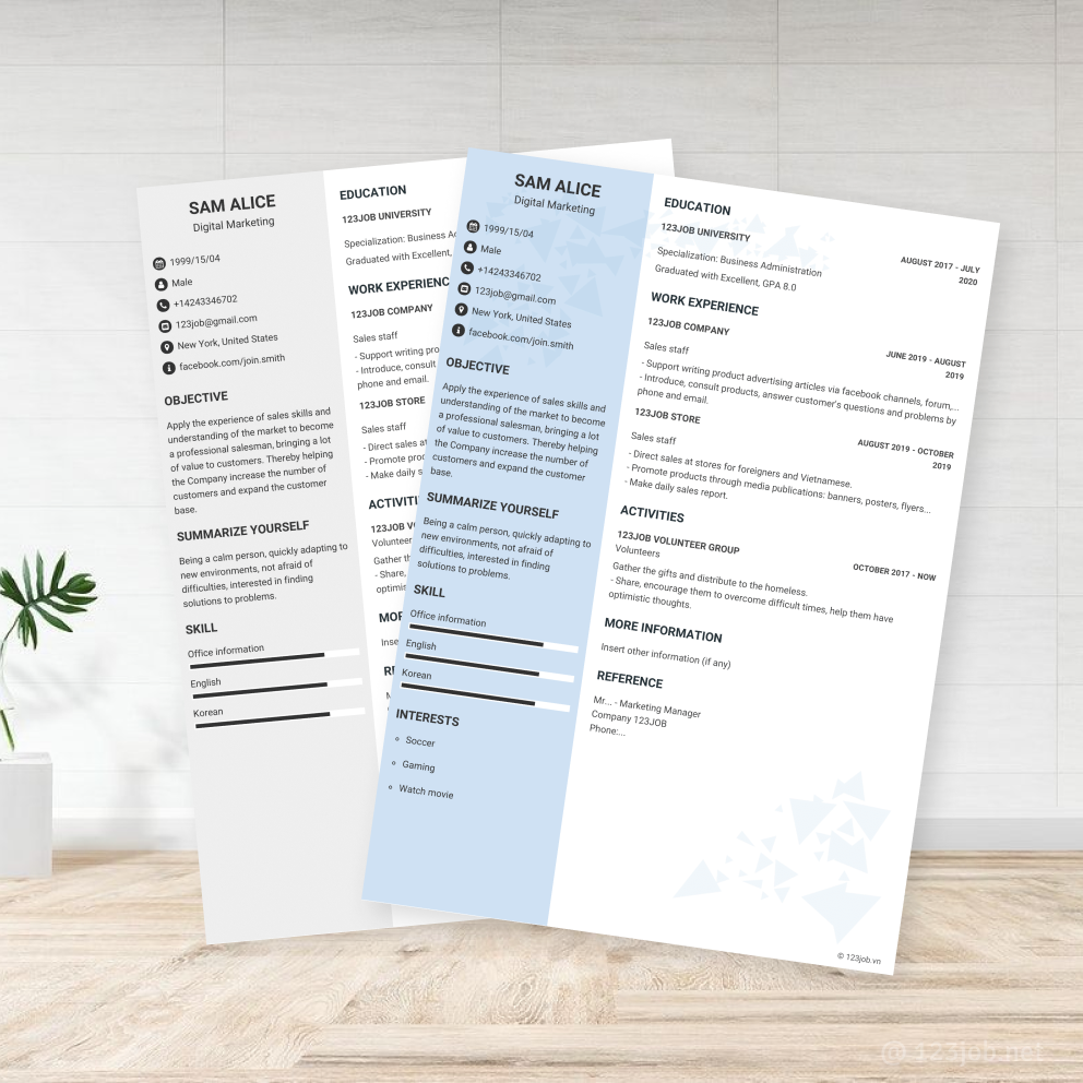 Mẫu CV Chuyên nghiệp - Hiện đại tiếng Anh