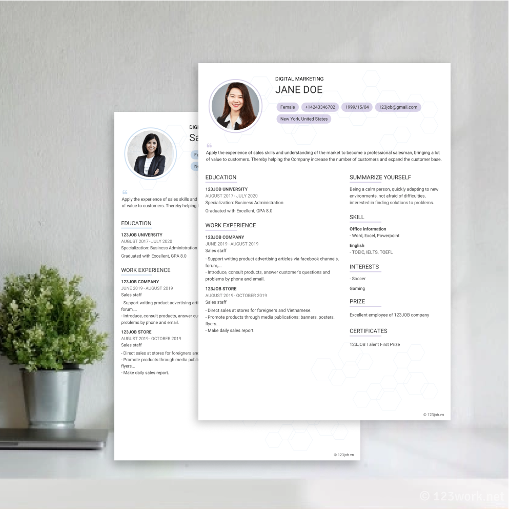 Mẫu CV Đơn giản Ấn tượng tiếng Anh