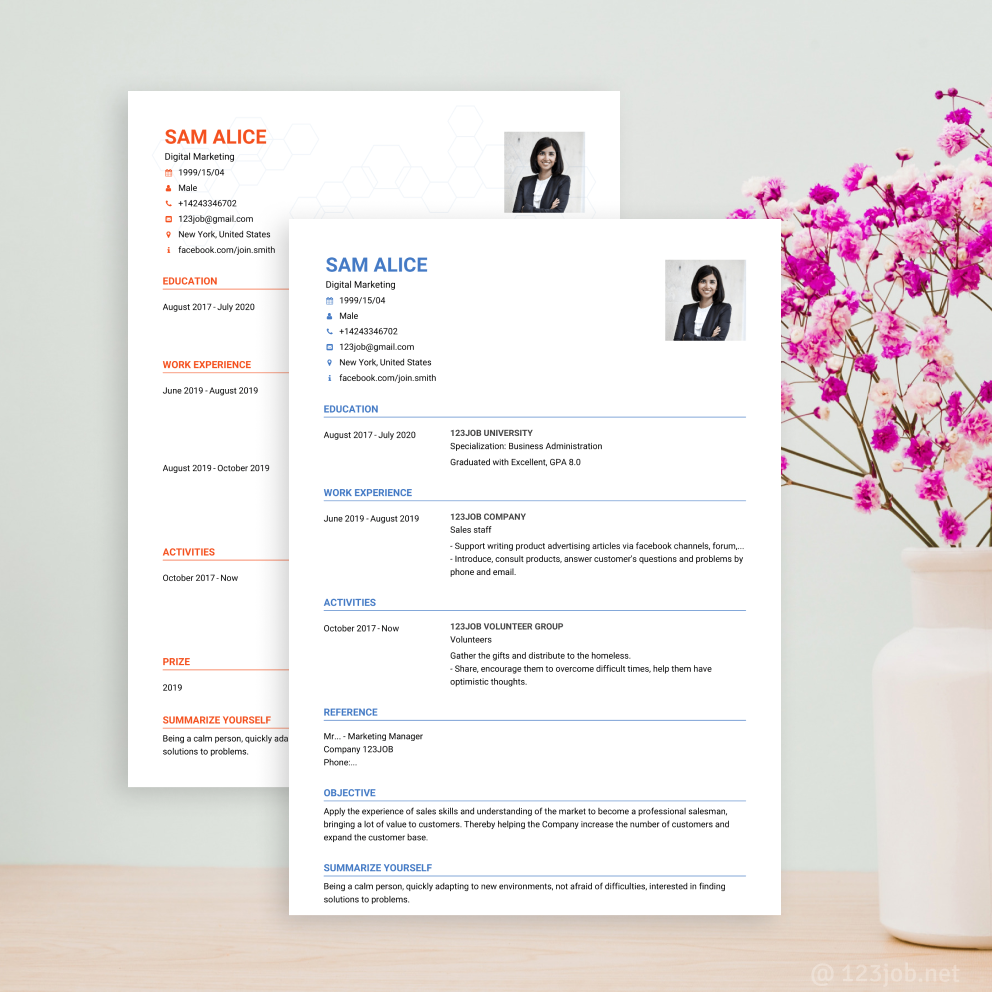 Mẫu CV Kỹ sư phần mềm tiếng Anh - Chuyên nghiệp