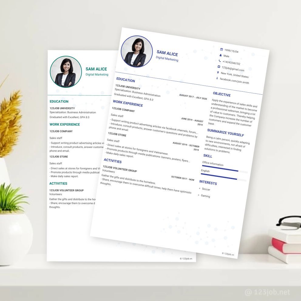 Mẫu CV Timeline tiếng Anh - Độc lạ