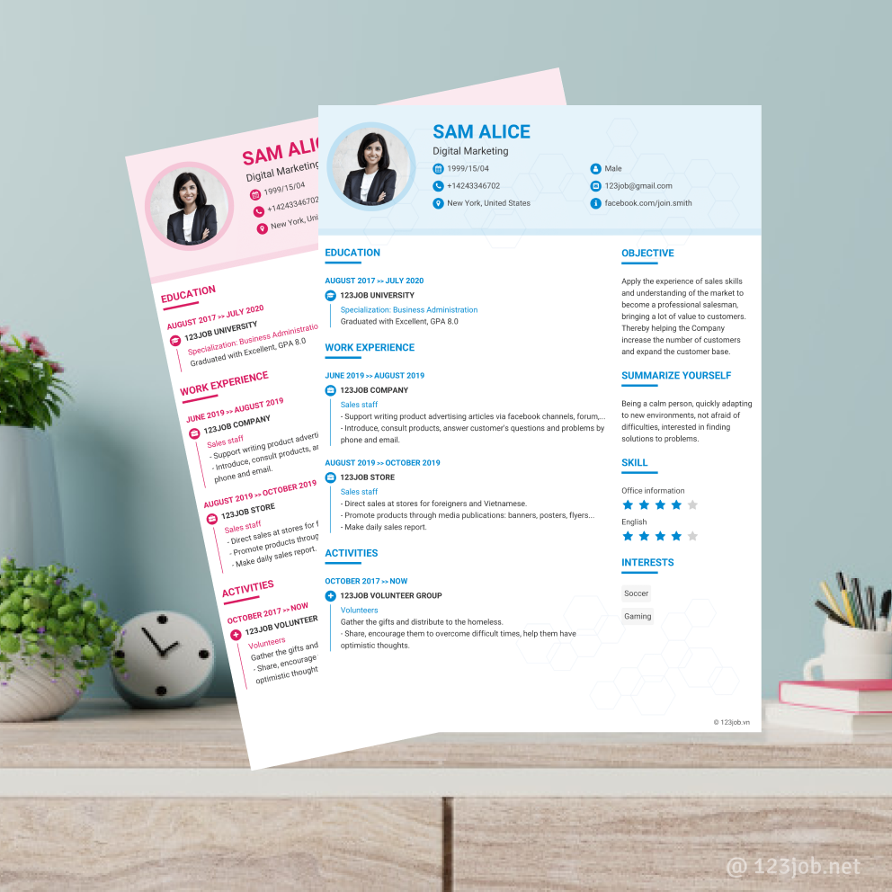 Mẫu CV Dòng thời gian tiếng Anh - Đơn Giản