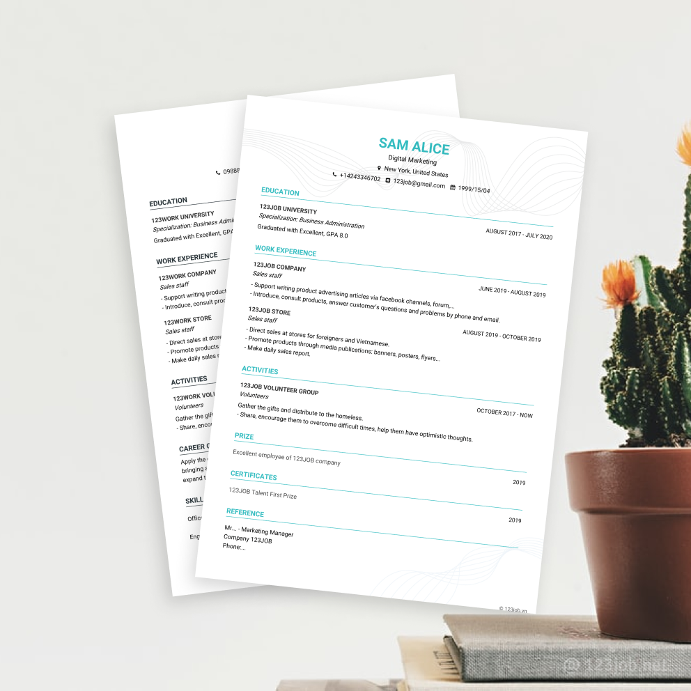 Mẫu CV Senior tiếng Anh - Hấp dẫn