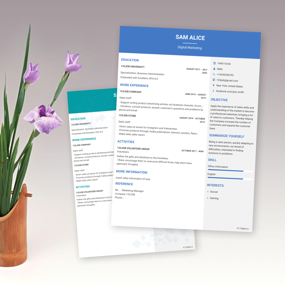 Mẫu CV Dòng thời gian tiếng Anh - Sáng tạo