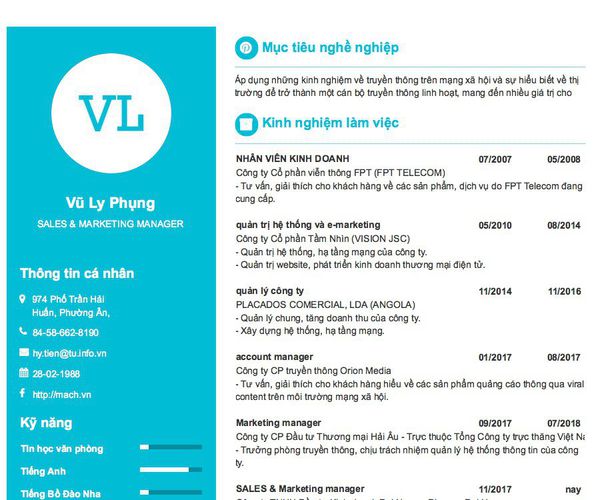 Mẫu CV SALES & MARKETING MANAGER