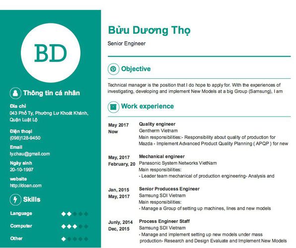 Mẫu CV Senior Engineer