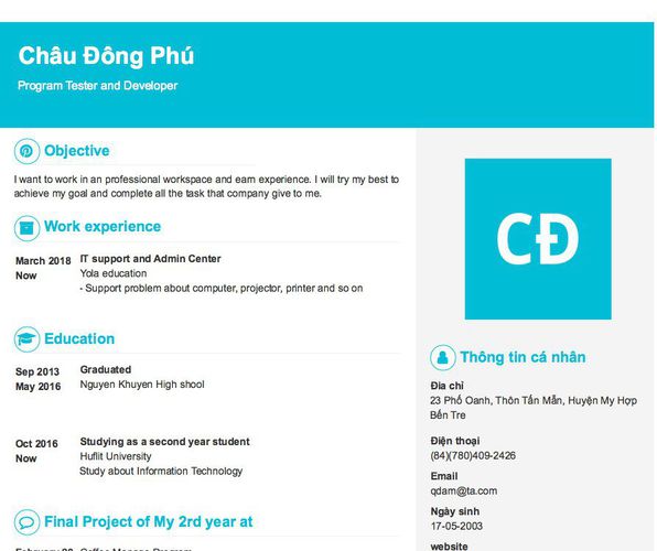 Mẫu CV Program Tester and Developer