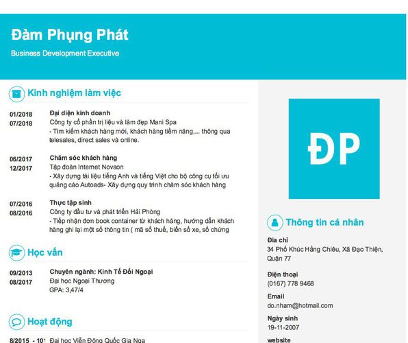 Mẫu CV Business Development Executive