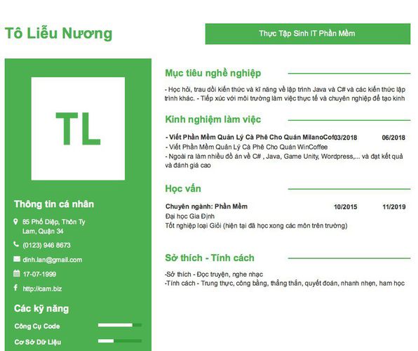 Gợi ý cách viết Mẫu CV tham khảo Thực Tập Sinh IT Phần Mềm