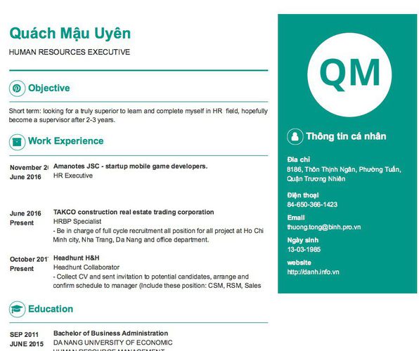 Mẫu CV HUMAN RESOURCES EXECUTIVE
