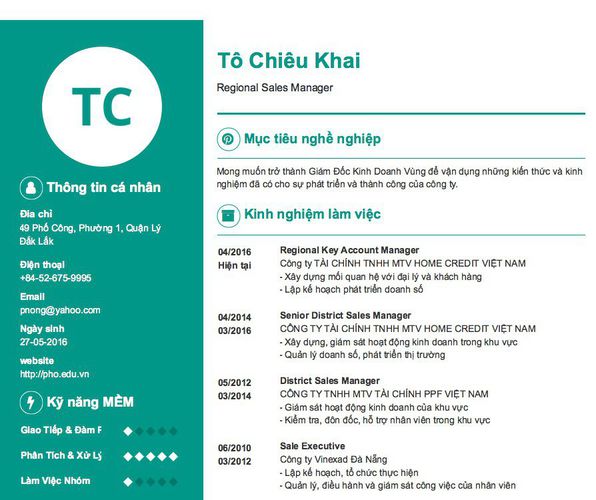 Mẫu CV Regional Sales Manager