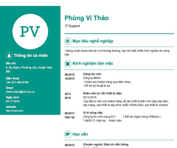 Mẫu CV  IT Support