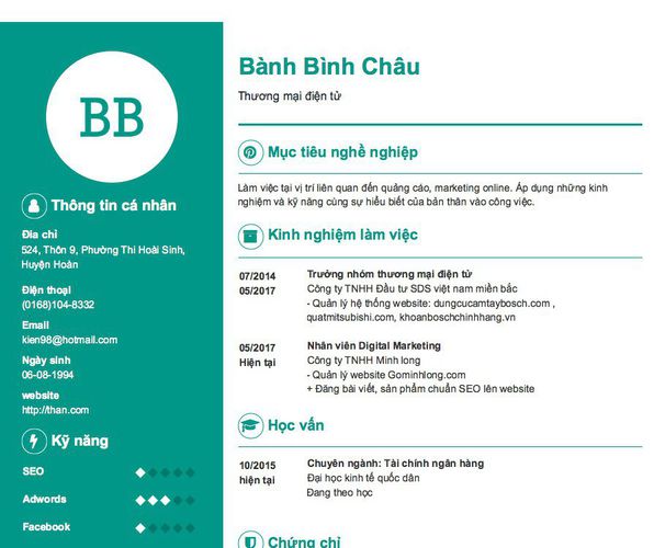 Mẫu CV Thương mại điện tử