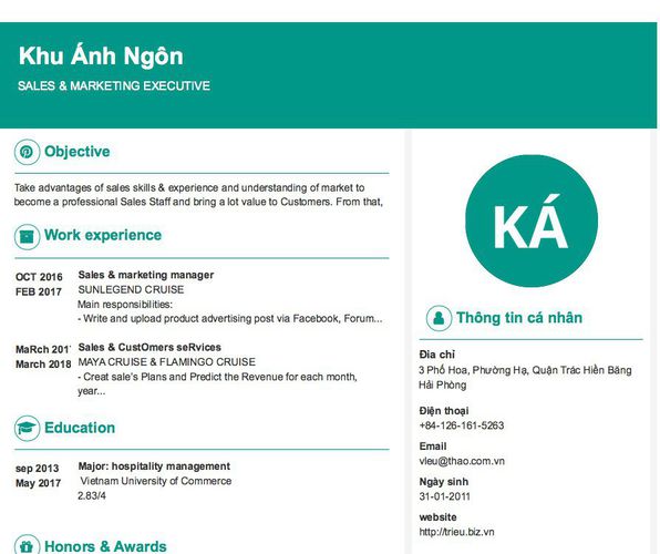 Mẫu CV SALES & MARKETING EXECUTIVE