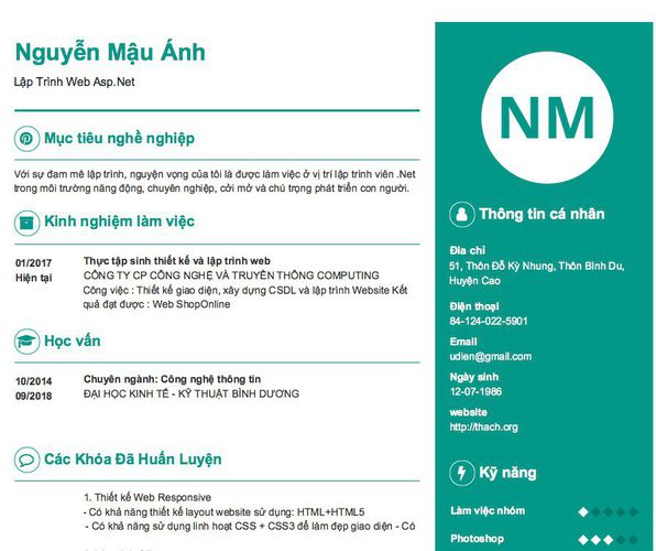 Mẫu CV Lập Trình Web Asp.Net