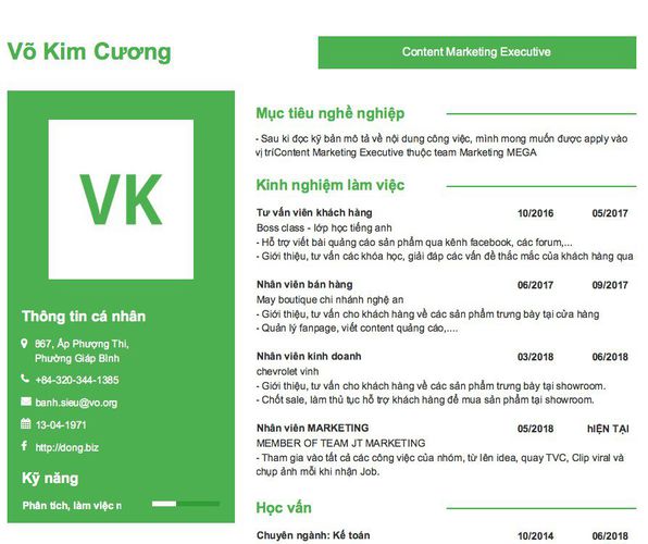 Mẫu CV Content Marketing Executive