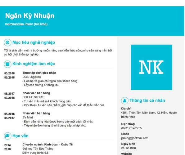 Mẫu CV merchandise intern (full time)
