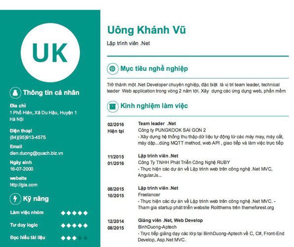 Mẫu CV Lập trình viên .Net