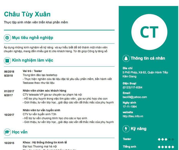 Mẫu CV Thực tập sinh nhân viên triển khai phần mềm