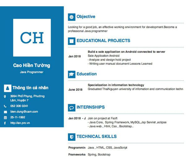 Mẫu CV Java Programmer