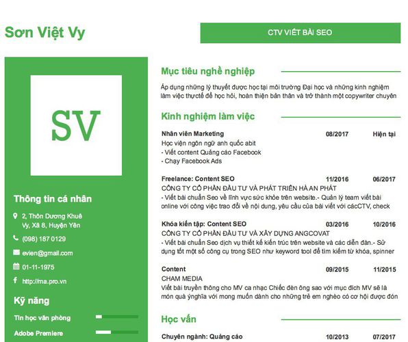 Mẫu CV CTV VIẾT BÀI SEO