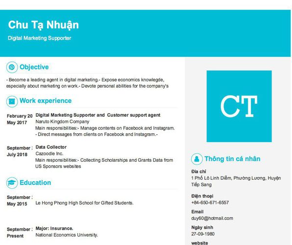Mẫu CV Digital Marketing Supporter