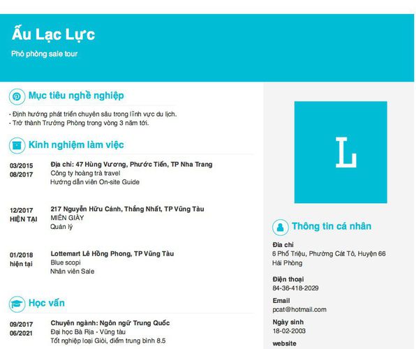 Mẫu CV Phó phòng sale tour