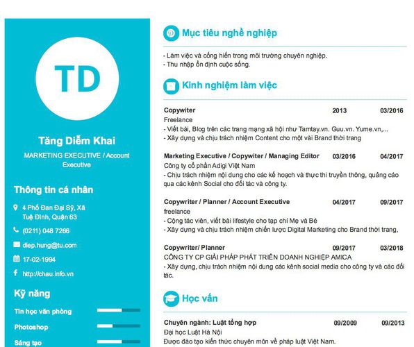 Mẫu CV MARKETING EXECUTIVE / Account Executive